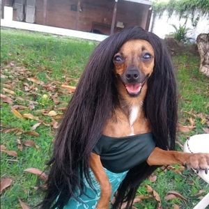 Meet your Posher, Ashanti